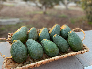California Hass Avocados by the Box